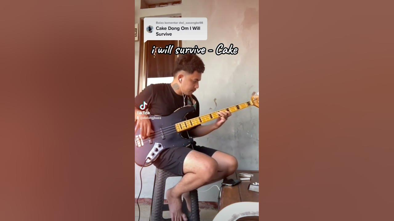 i will survive - Cake bass cover i will survive - Cake bass cover