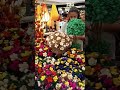 can market|can buy this indoor plant 🌵🌵🌵.