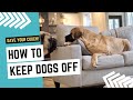 How to Keep Dogs Off Furniture While You&#39;re Away | Part 2 | What We Think of the PetSafe ScatMat