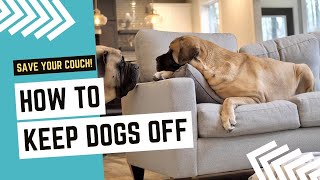 How to Keep Dogs Off Furniture While You're Away | Part 2 | What We Think of the PetSafe ScatMat