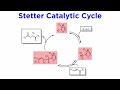 Stetter Reaction and Biochemical Roles