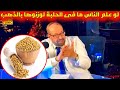 الحلبة كما لم تسمعها من قبل {أسرار وفوائد}(21)