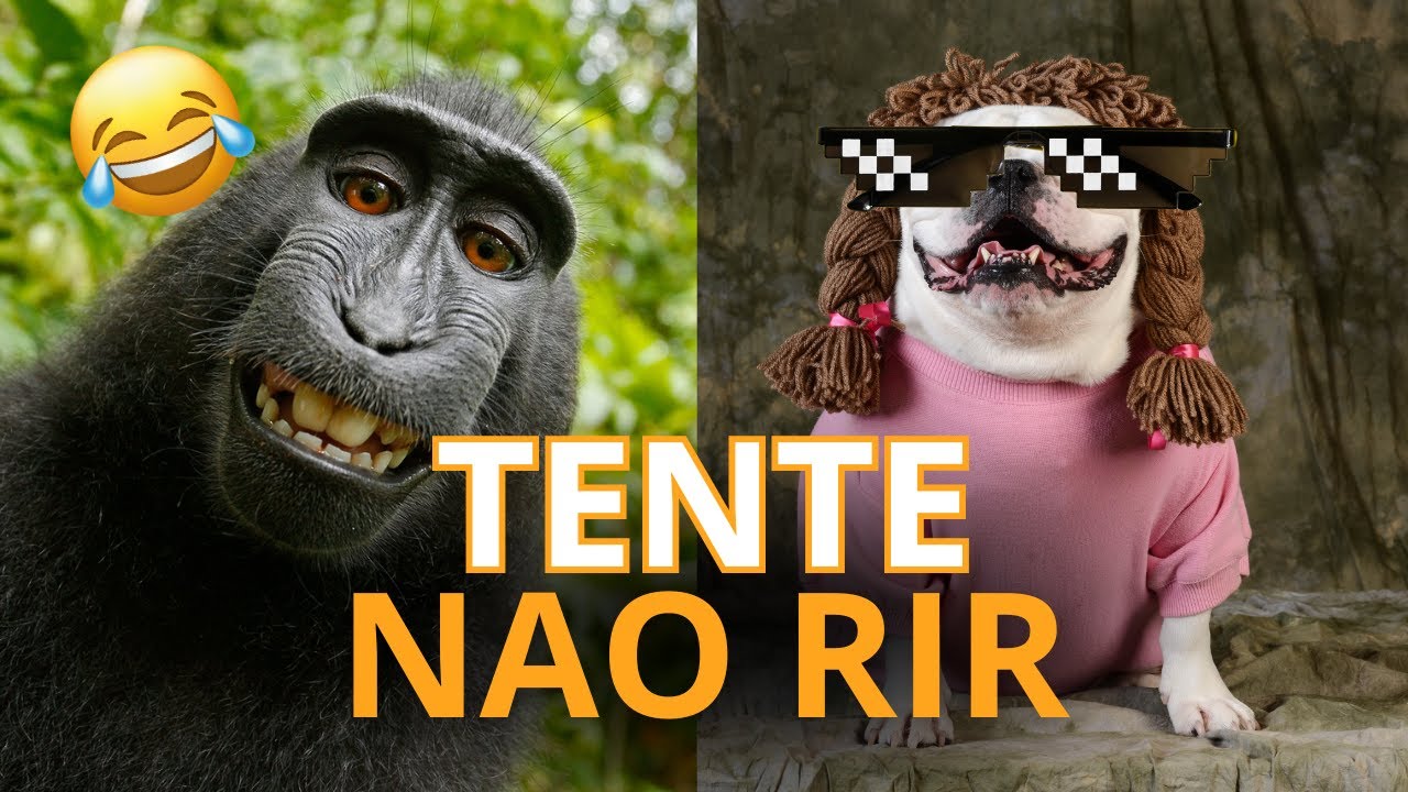 520 videos memematicos em 2023  videos engraçados para rir, memes  engraçados, engraçado