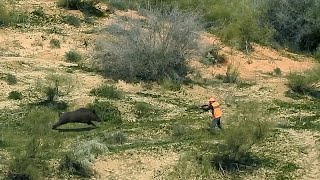 Hunting Wild Boar: PART 4Season 2022 || KHEROUBA  MEKNES