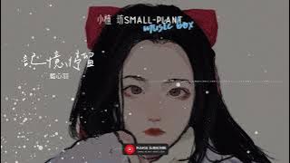 記憶停留 | 藍心羽 | 歌词 | Lyrics