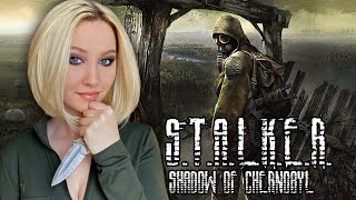 S.T.A.L.K.E.R.: Shadow of Chernobyl ПЕРВОЕ ПРОХОЖДЕНИЕ игры, СТАЛКЕР: Тень Чернобыля ► forestcatplay