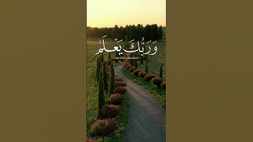 القارئ الشيخ  محمد الفقيه| راحة نفسية| #قران كريم صوت جميل