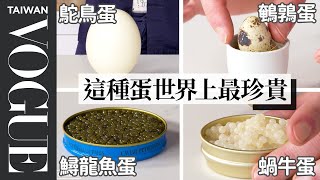 12 Types of Eggs, Examined and Cooked Vogue Taiwan