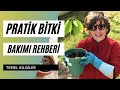 Evde Bitki Bakımının Püf Noktaları | Pratik Bitki Bakımı Önerileri