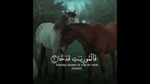 سورة العاديات القارئ عبد الرحمان مسعد ❤