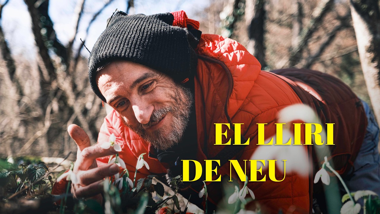 LES COSES QUE CREIXEN. Capítol 41. EL LLIRI DE NEU