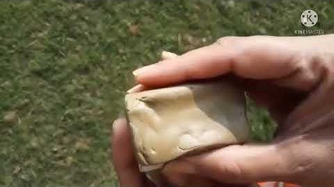 Class 4 EVS Chapter 20 Part 2