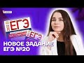 Новое задание №20. Как научиться его решать? | Базовая математика ЕГЭ 2022 | Умскул