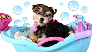 Bathtime Puppy Starring Zumi  Baby Doll Bubble Bathtub
