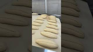Bartında Halk Ekmek Fabrikası Üretime Başladı
