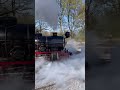 Santa Maria fährt das erste Mal dieses Jahr los #trainbawü #killesbergbahn