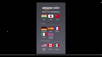 How to Use the Amazon Seller