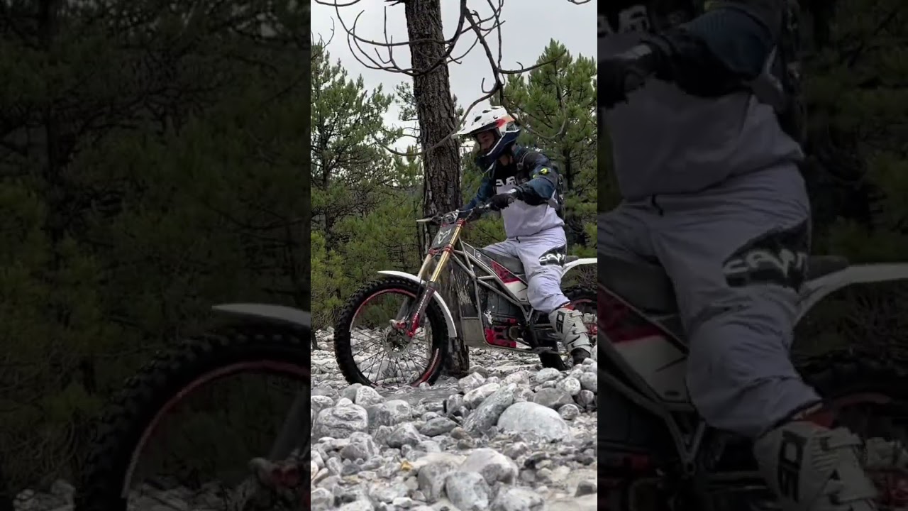 Arctic Leopard electric off road