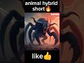 🐅top 10 animals hybrid short ai hybrid animal video editing🔥