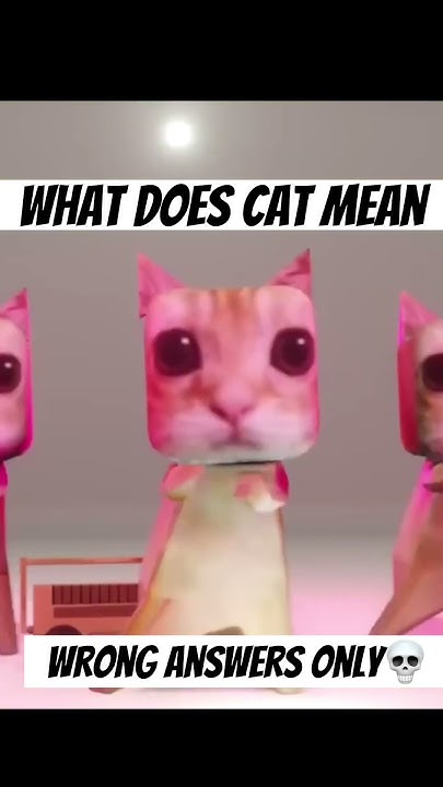 What Does Cat Mean YouTube what-does-cat-mean-youtube