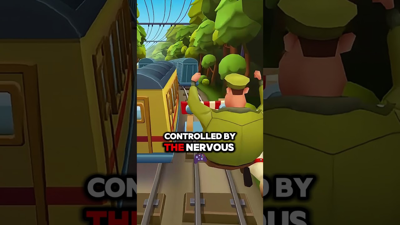 Daily Fun Factory 83