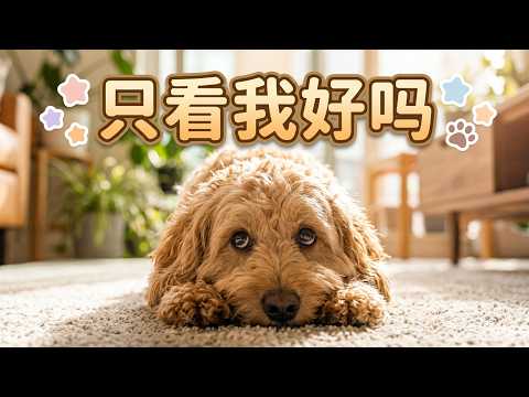 皮皮争宠生气的样子 妈妈和姐姐多说两句都不乐意