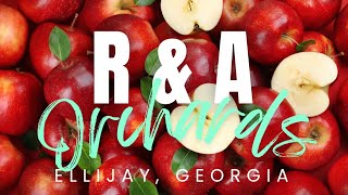 Is R & A Orchards Country Store the BEST Kept Secret in Ellijay Georgia?