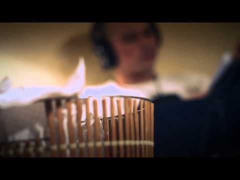 TRAILER "SIGMUND KROYS"