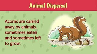 Seed Dispersal