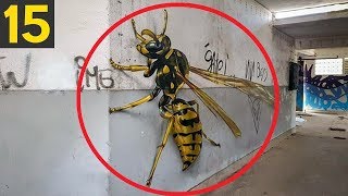 15 GIANT INSECTS that can Kill