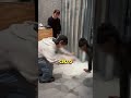 Ritual de agradecimiento en Japón ❤️‍🔥