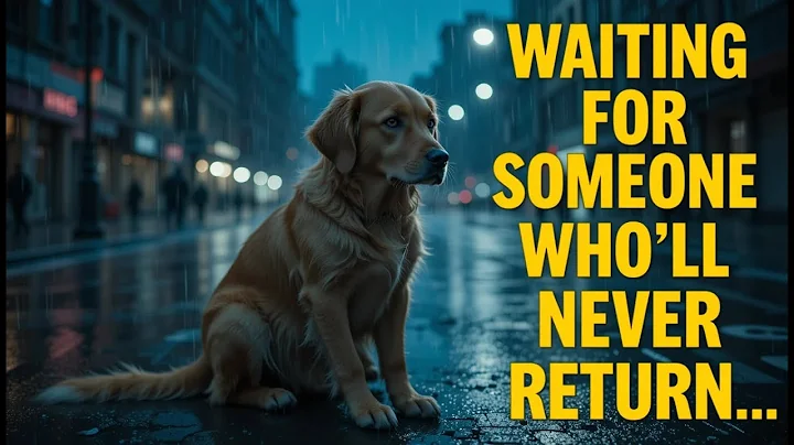 👉 The Most Heartbreaking Dog Story Ever 😢 | True Loyalty of Max