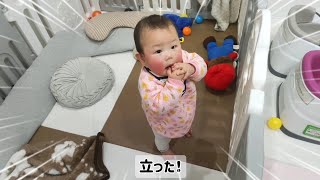 【生後8.5ヶ月】双子の弟が手離しでタッチ出来た