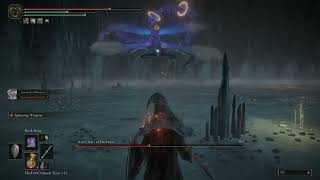 Cheese Astel Stars Of Darkness With Latenna - Elden Ring