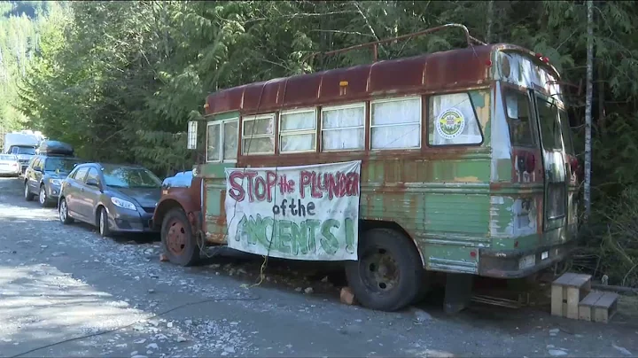 Pacheedaht First Nation asks old-growth protesters to leave its territory | CHEK News