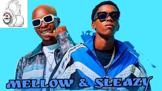 Mellow & Sleazy - Briyani 6