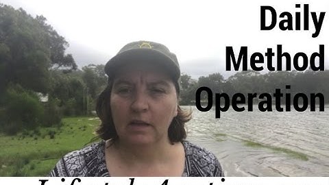 02Day 90 day video challenge DMO video