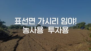 23만원/3.3m2 표선면 가시리 농사용 투자용