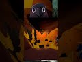 Cheese! | @Lastresorthero #Twitch #vtuber #vtuberclip #vtuber #vtuberclip #fy #fyp