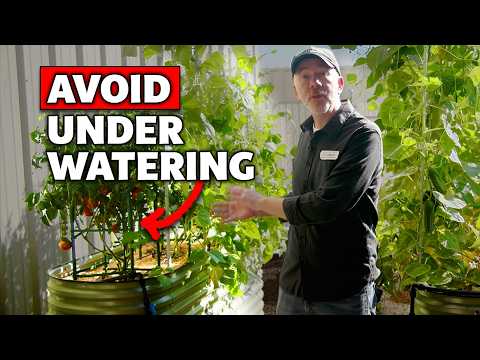 How to Avoid Underwatering Your Garden with a Drip System
