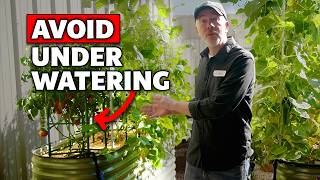 How to Avoid Underwatering with a Drip Irrigation System