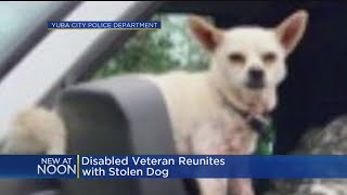 Disabled Veteran Reunited With Dog That Was Stolen Along With Van
