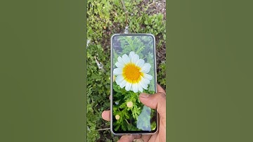 Vivo T4x Portrait test 🔥