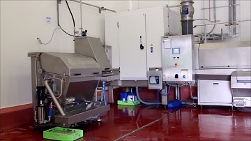 Máy Rửa Sọt Nhựa Công Suất Cao của Hà Lan