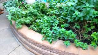 Copy Of Pixel 2 4K Test Video