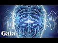 Can sound heal through frequencies affecting brainwaves