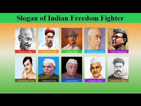 Freedom Fighters Chart