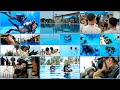 Marines underwater dive training at camp schwab