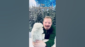 Puppet of the Day – Gray Sloth puppet made by Dollibu - The Puppet Hideaway with Eric Thomsen