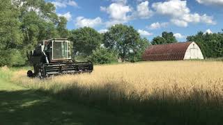 Last of rye harvest 2020